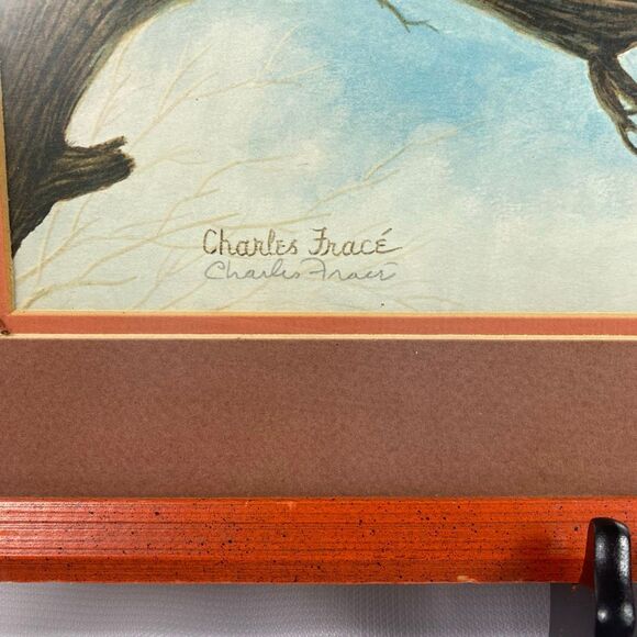 Charles Fracé Screech Owls Print Framed Wildlife Art 18x18 Wall Decor - Picture 3 of 7